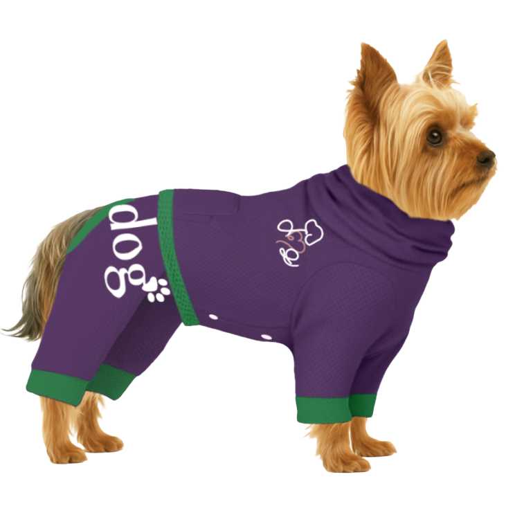 【ハイネックタイプ】メッシュ生地(吸水速乾・遮熱・UV)-パープル×グリーン