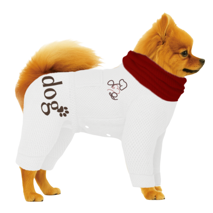 【ハイネックタイプ】メッシュ生地-ホワイト×レッド