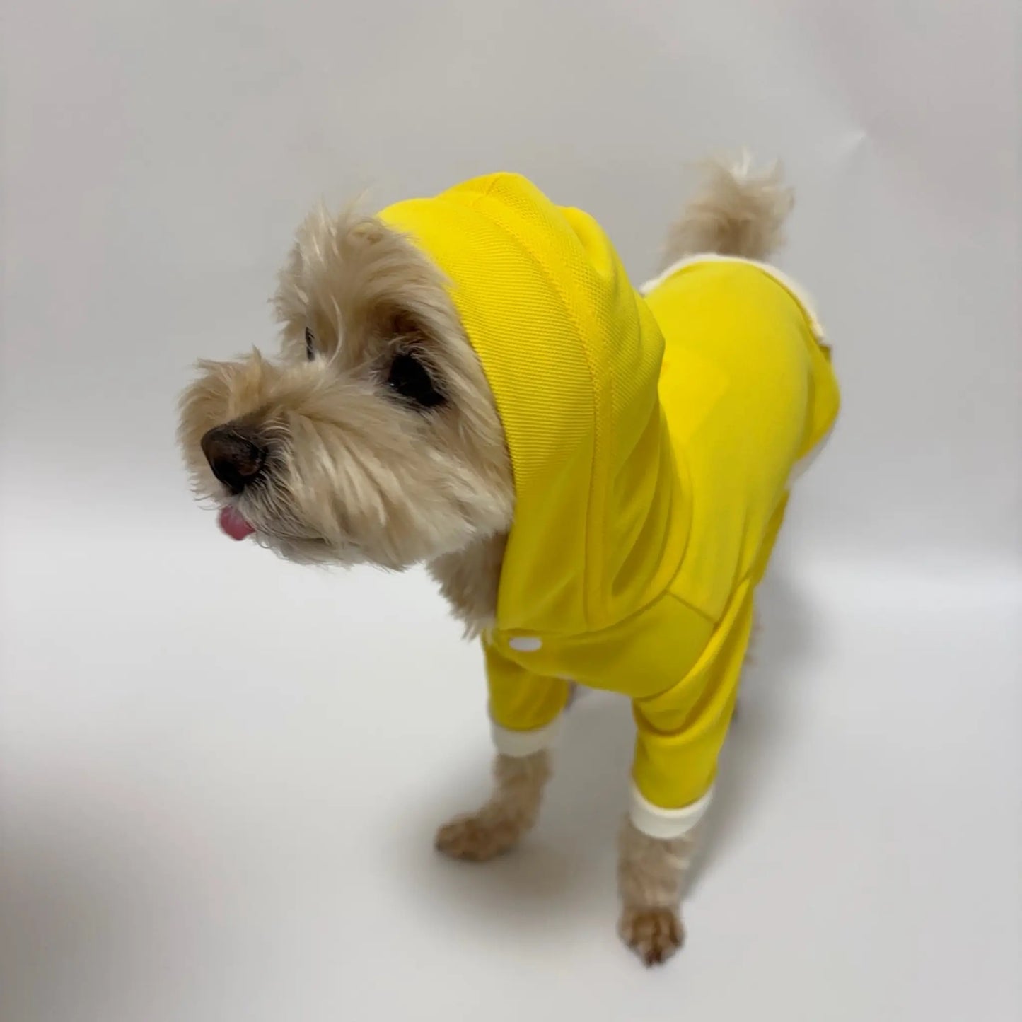 Cooling Honeycomb Romper