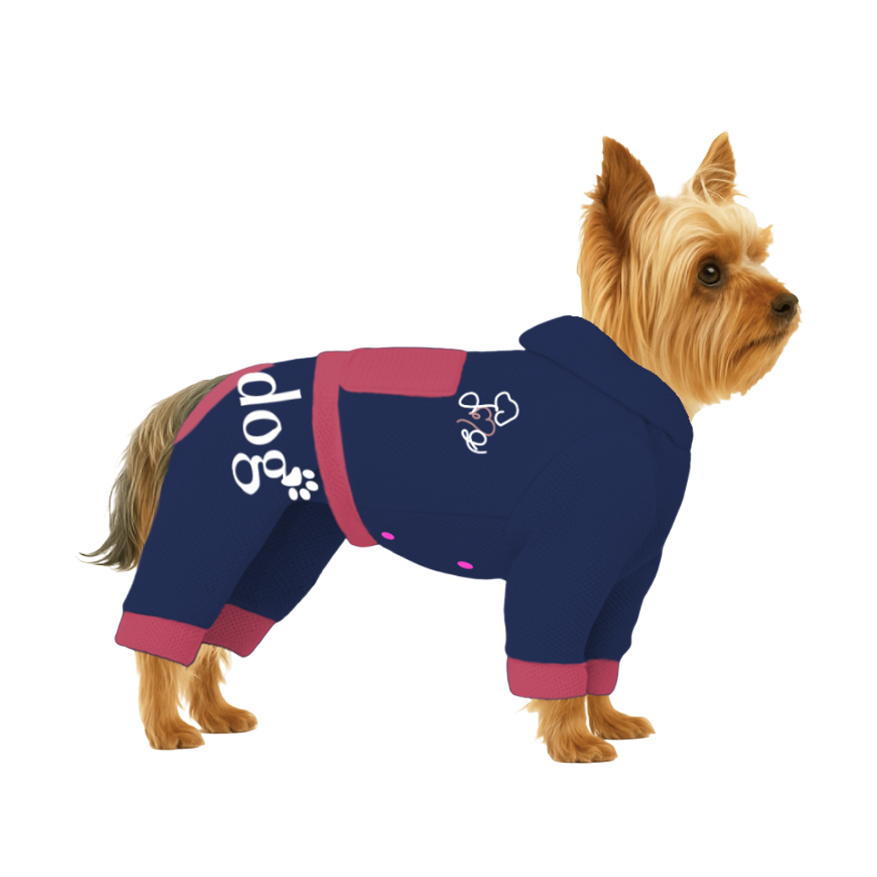 【フードタイプ】メッシュ生地(吸水速乾・遮熱・UV)-ブルー×ピンク