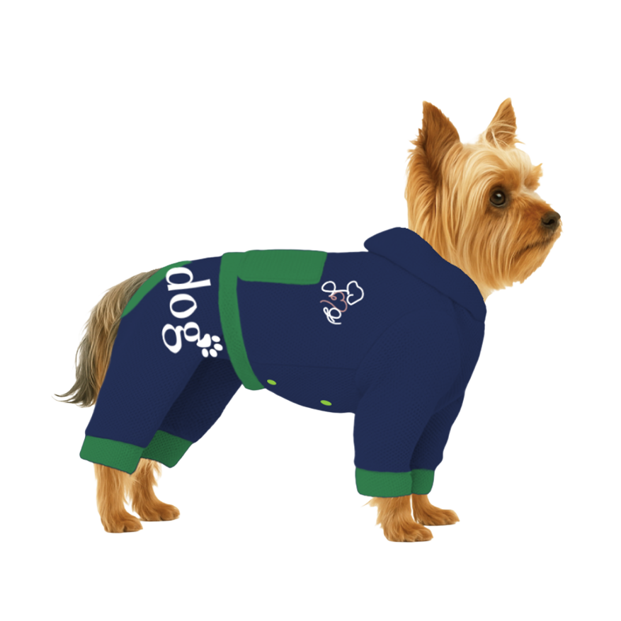 【フードタイプ】メッシュ生地(吸水速乾・遮熱・UV)-ブルー×グリーン