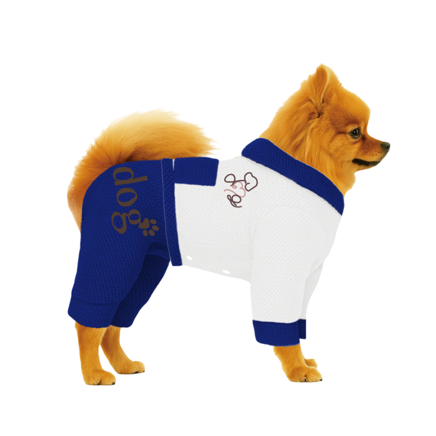 【フードタイプ】メッシュ生地-ホワイト×ブルー