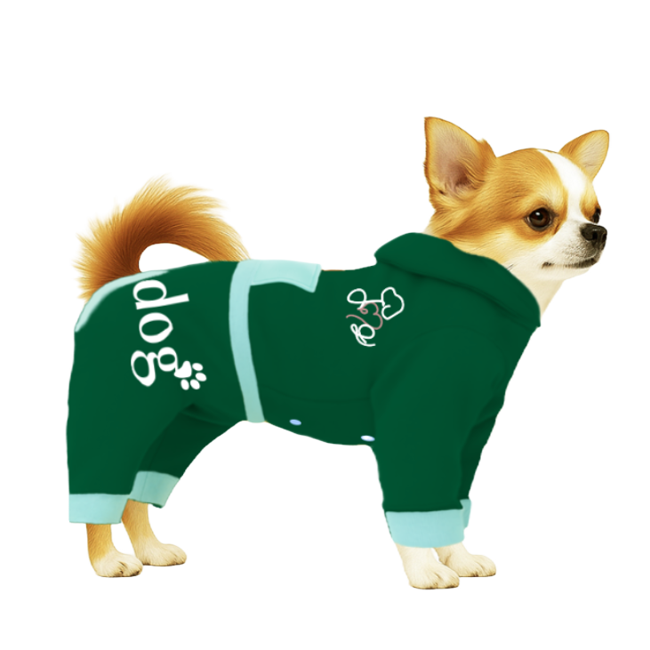 【フードタイプ】スウェット生地-グリーン×ライトブルー