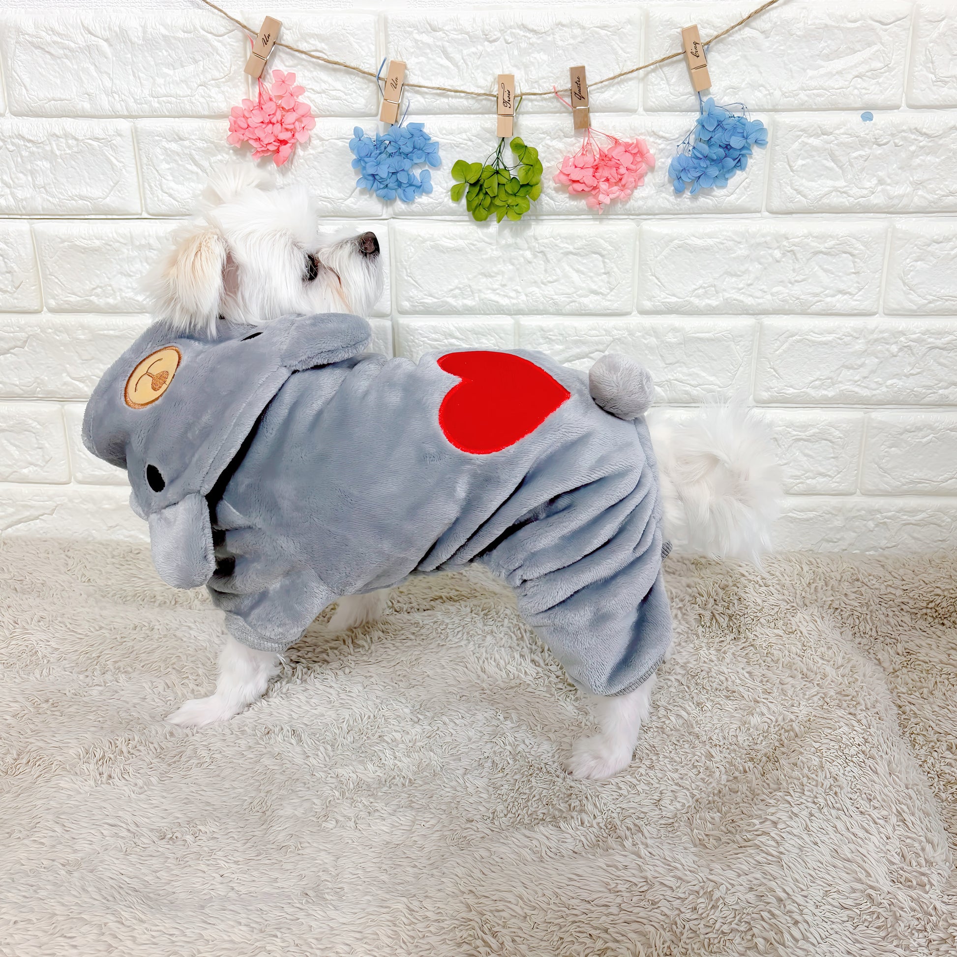 冬向けの犬用洋服、ふわふわで暖かいクマさん着ぐるみドッグウェア。防寒対策◎。汚れ防止＆抜け毛対策に最適。おしゃれで可愛いデザインが小型犬のお散歩や部屋着にもぴったり。