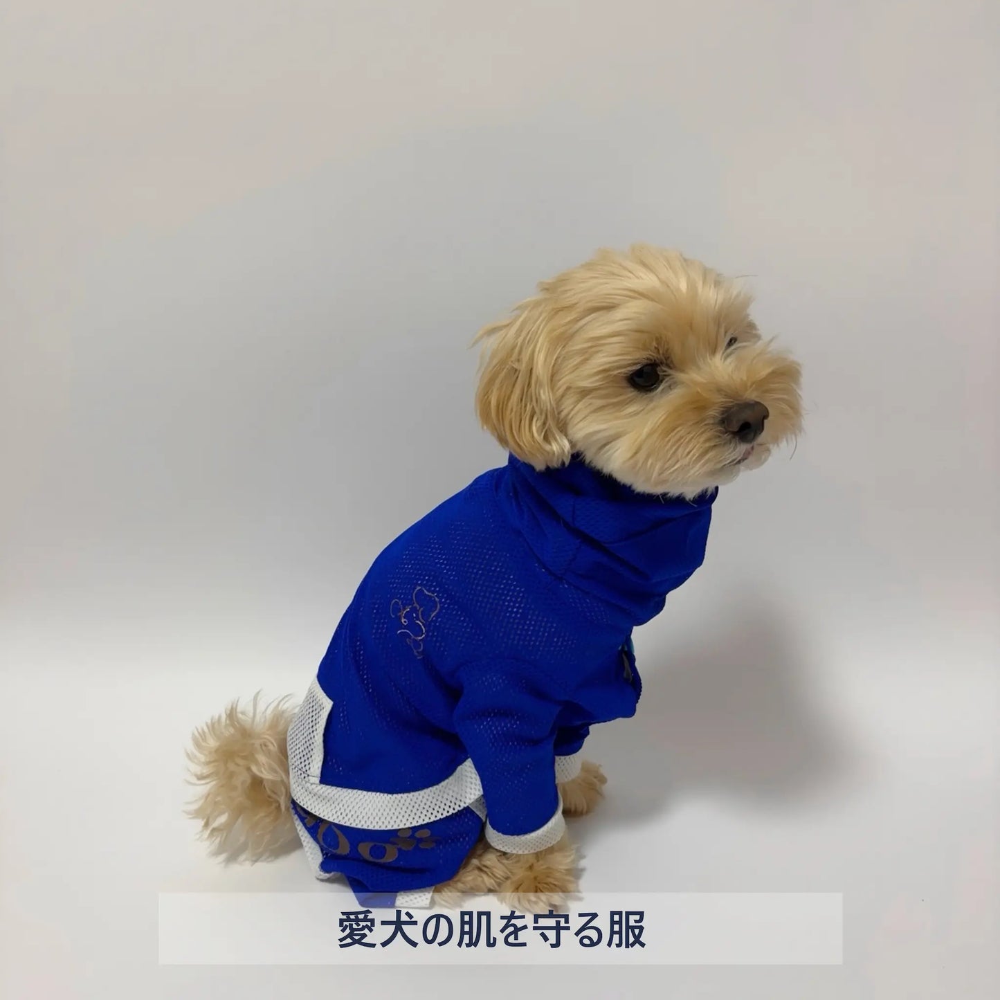 【하이넥 타입】메쉬 원단-블루