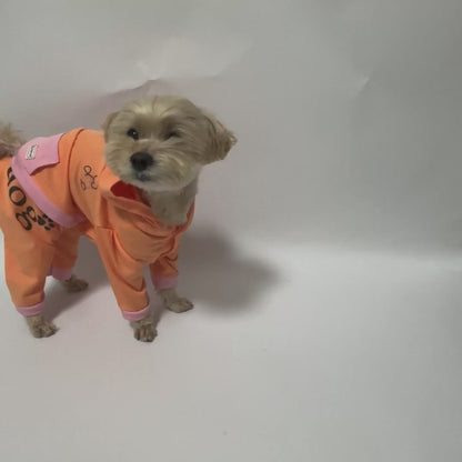 【하이넥 타입】방오 원단-베이비 블루×라이트 오렌지×라이트 옐로우