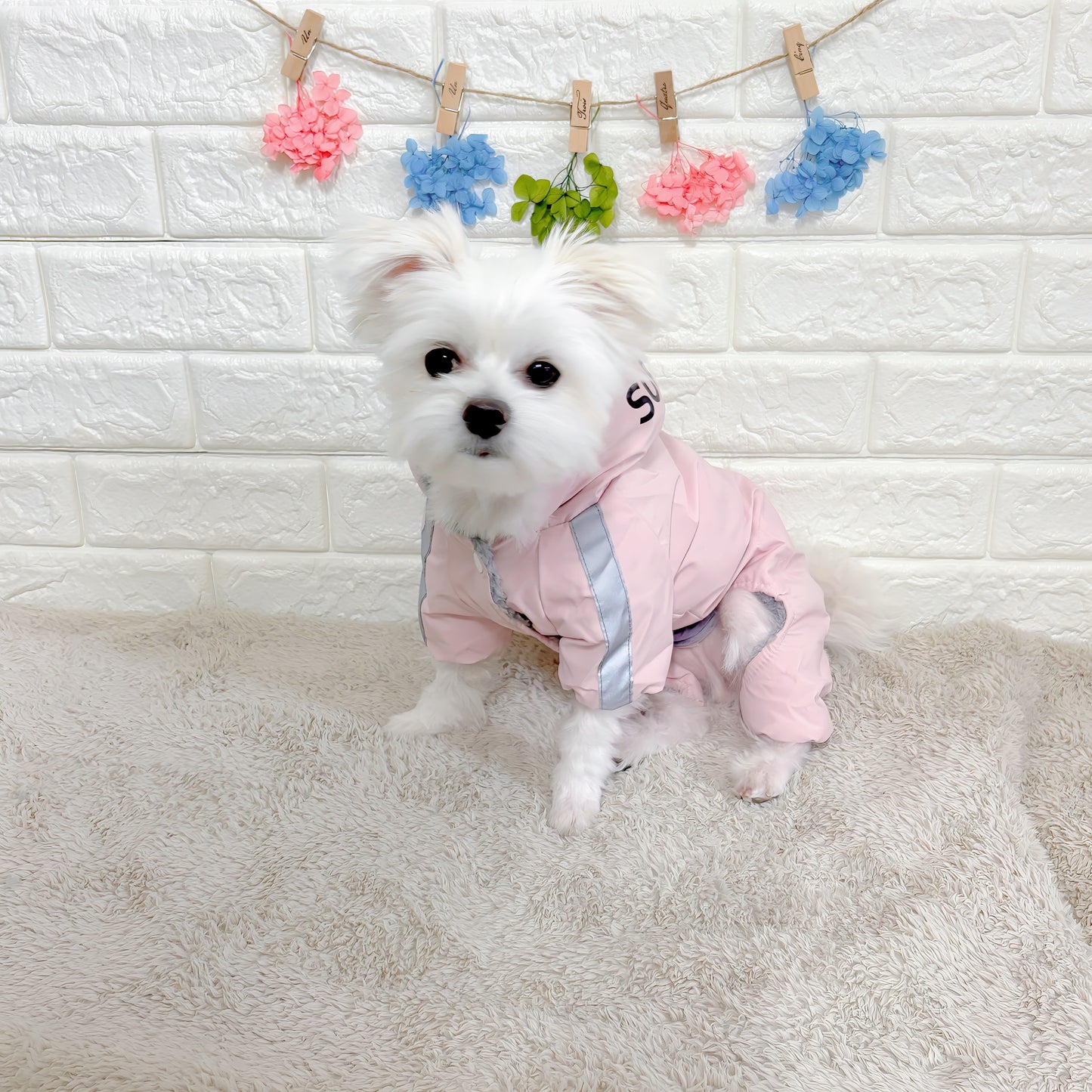 冬向けの犬用洋服、暖かいダウンジャケット風ドッグウェア。もこもこ裏地で防寒対策◎。汚れ防止＆抜け毛対策に最適。反射テープ付きで夜間のお散歩も安心な小型犬向けデザイン。