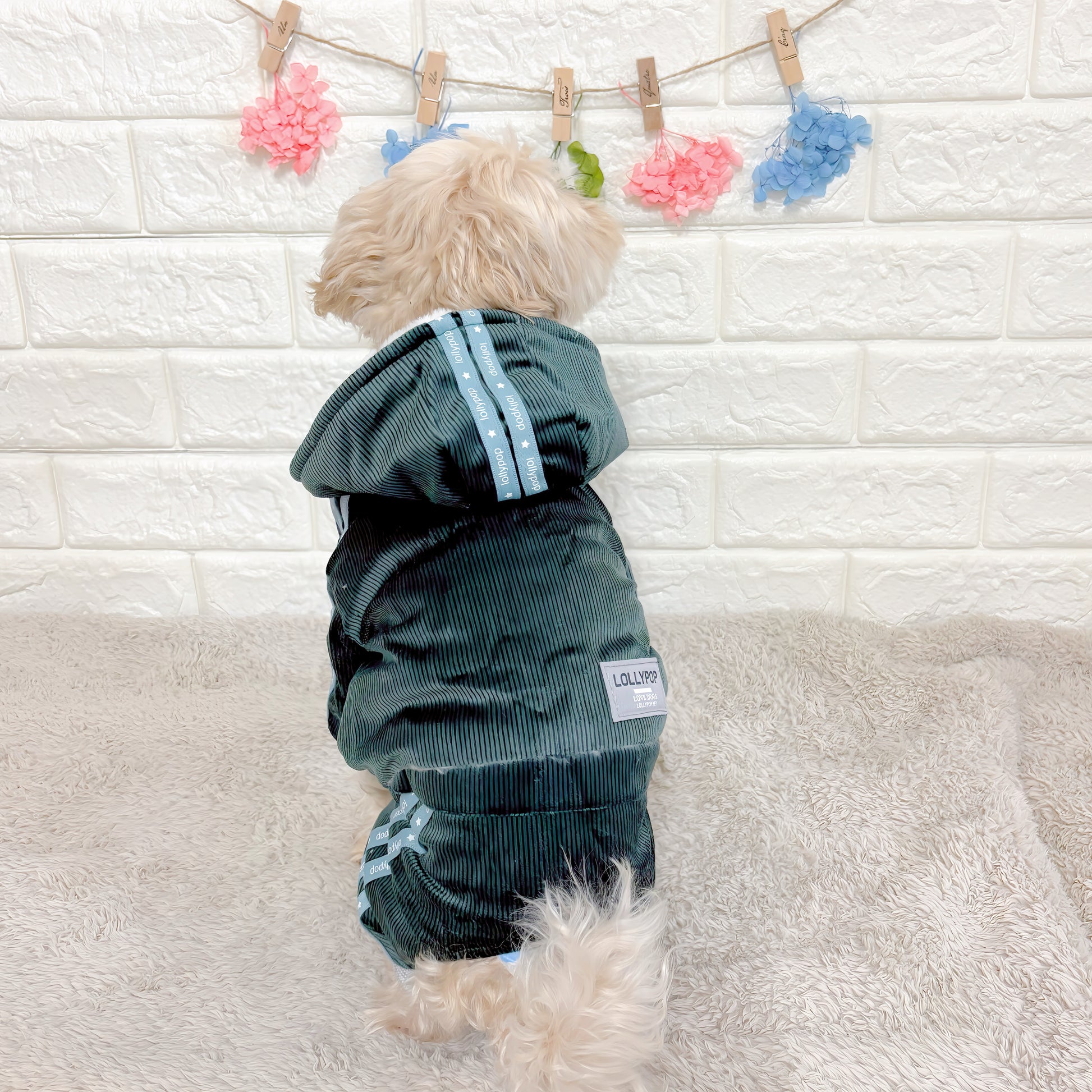 秋冬向けの犬用洋服、暖かいコーデュロイ素材のおしゃれなドッグウェア。防寒・汚れ防止・抜け毛対策に最適。前ボタン仕様で着脱簡単、小型犬にもおすすめ。